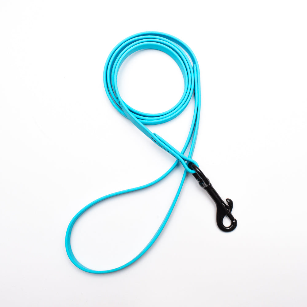 Biothane Light Weight Leash 4ft (120cm/1.2m)