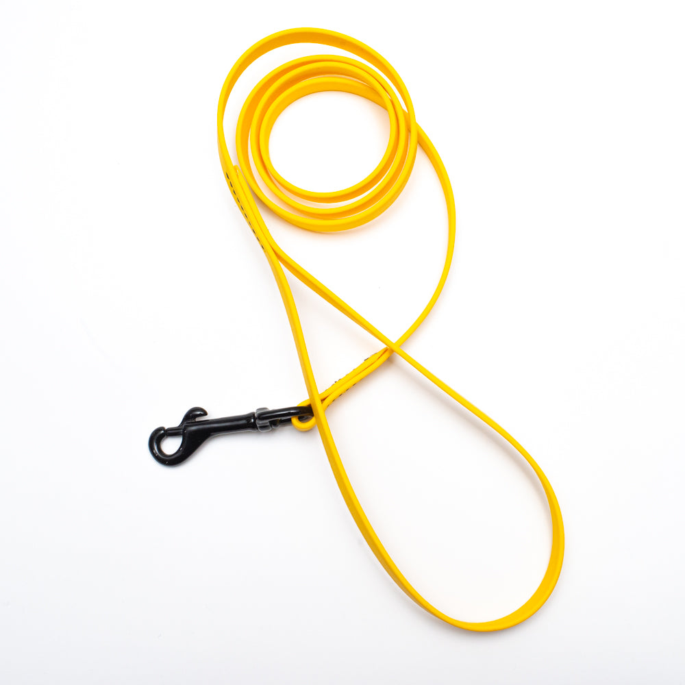 Biothane Light Weight Leash 4ft (120cm/1.2m)
