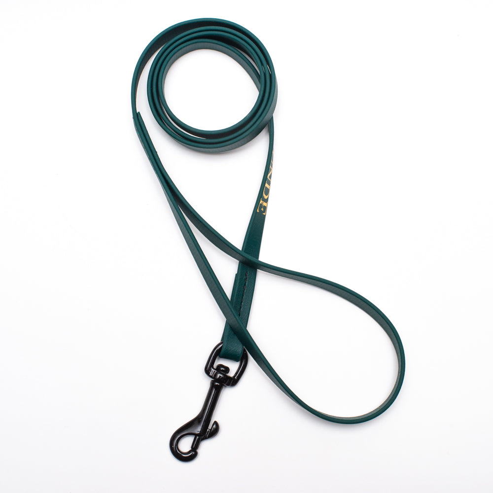 Biothane Light Weight Leash 4ft (120cm/1.2m)