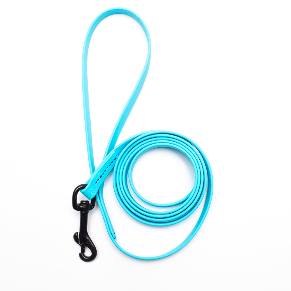 Biothane Light Weight Leash 6ft (180cm/1.8m)