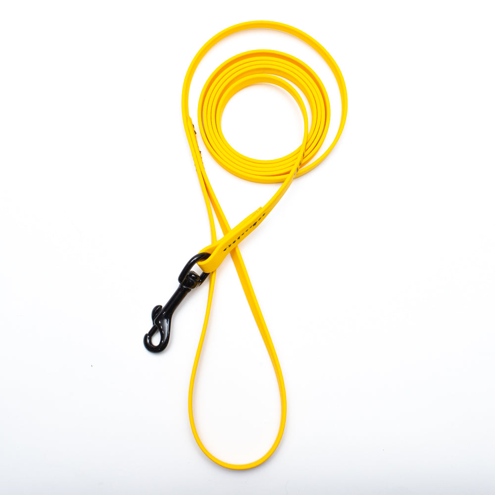Biothane Light Weight Leash 6ft (180cm/1.8m)