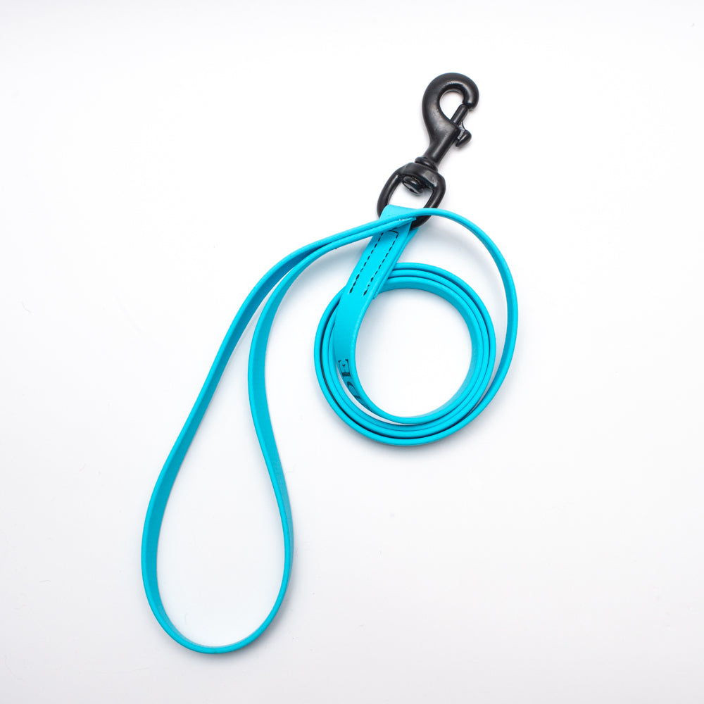 Biothane Leash 4ft (120cm/1.2m)