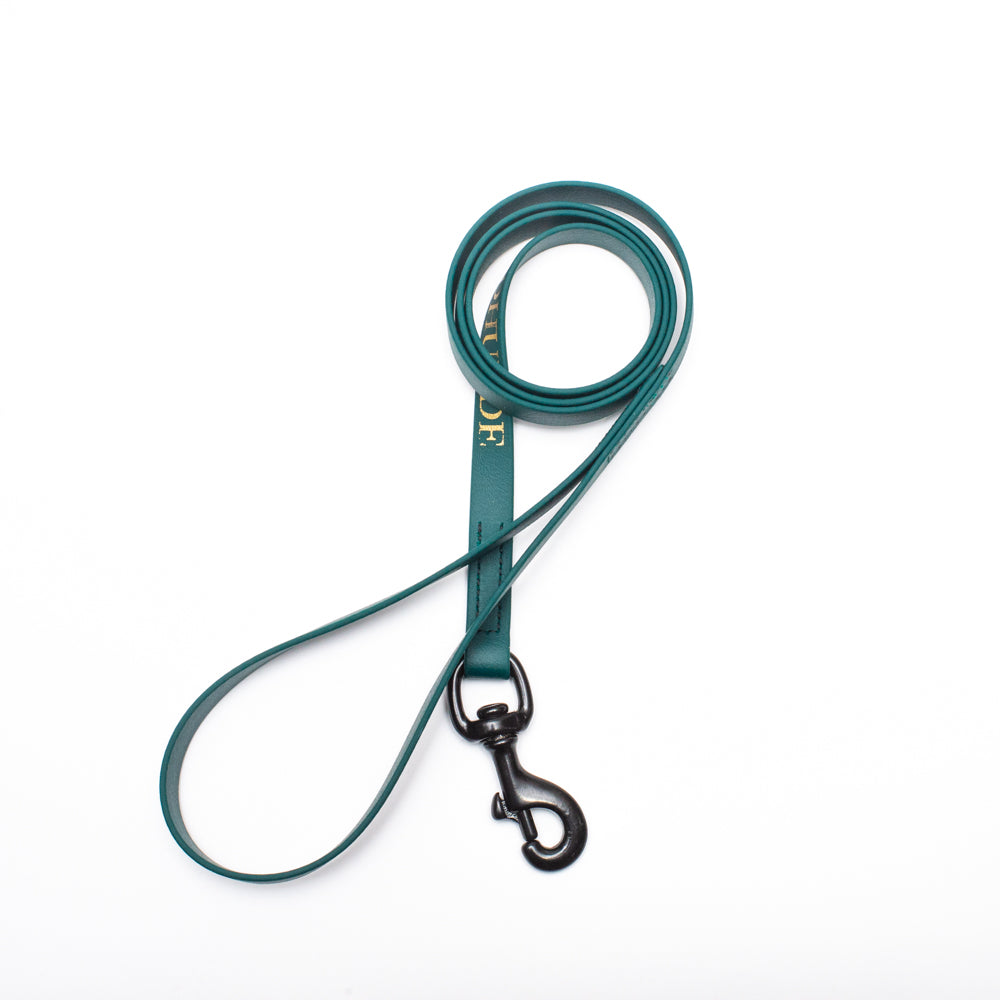 Biothane Leash 4ft (120cm/1.2m)