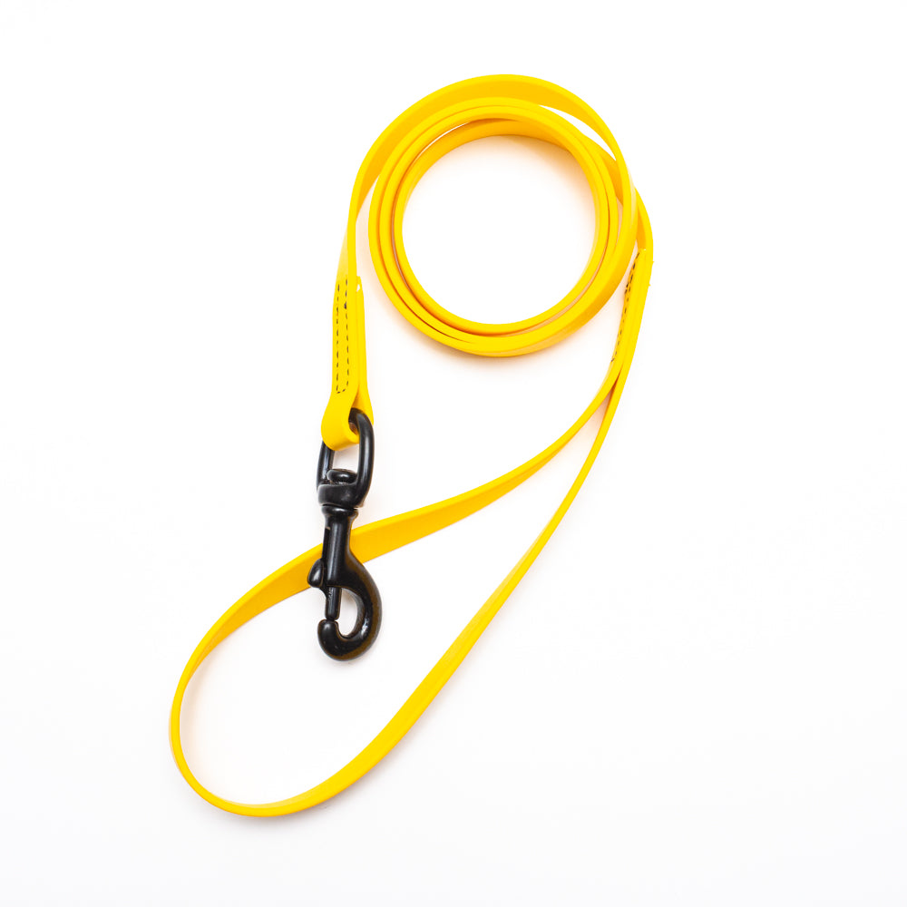 Biothane Leash 4ft (120cm/1.2m)