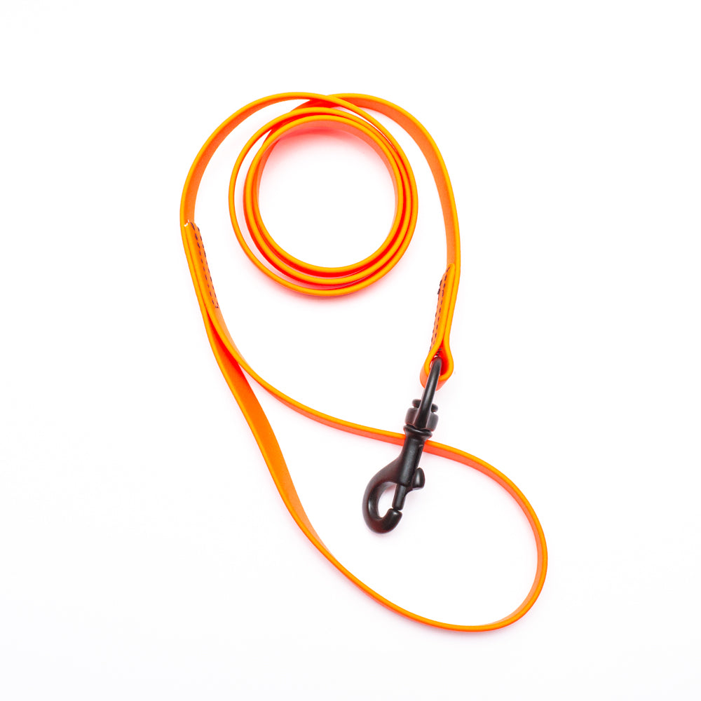 Biothane Leash 4ft (120cm/1.2m)