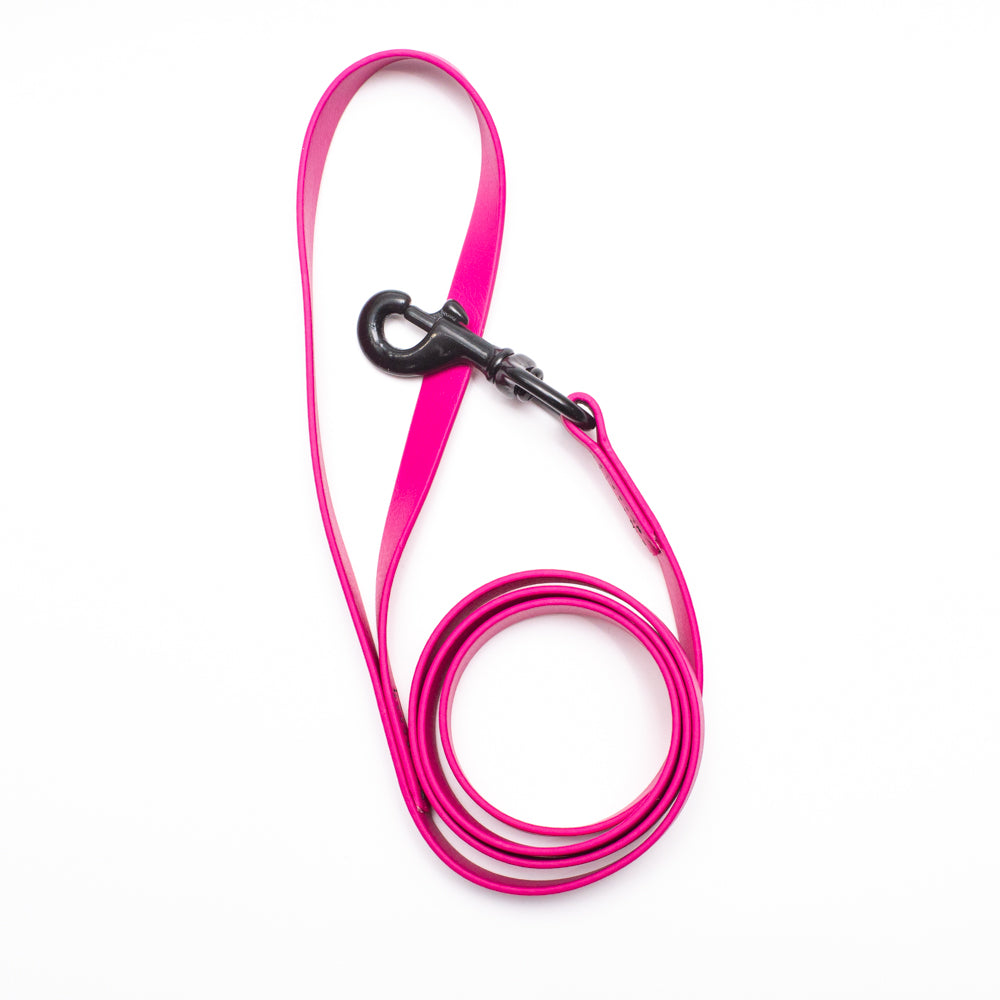 Biothane Leash 4ft (120cm/1.2m)