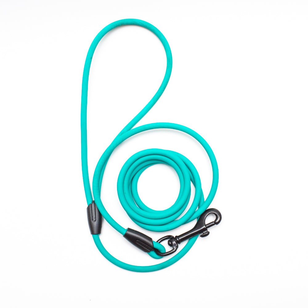 Biothane 1/4"(6mm) Beta Rope 6ft Leash (180cm/1.8m)