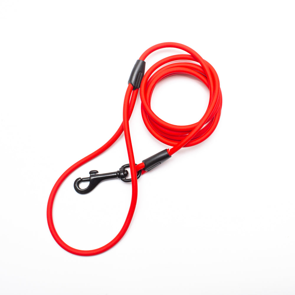 Biothane 1/4"(6mm) Beta Rope 6ft Leash (180cm/1.8m)