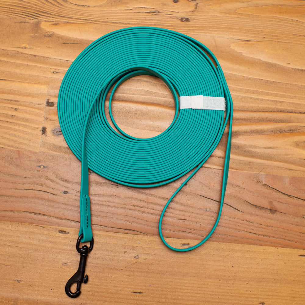 Biothane Puppy Light Long Line 10m