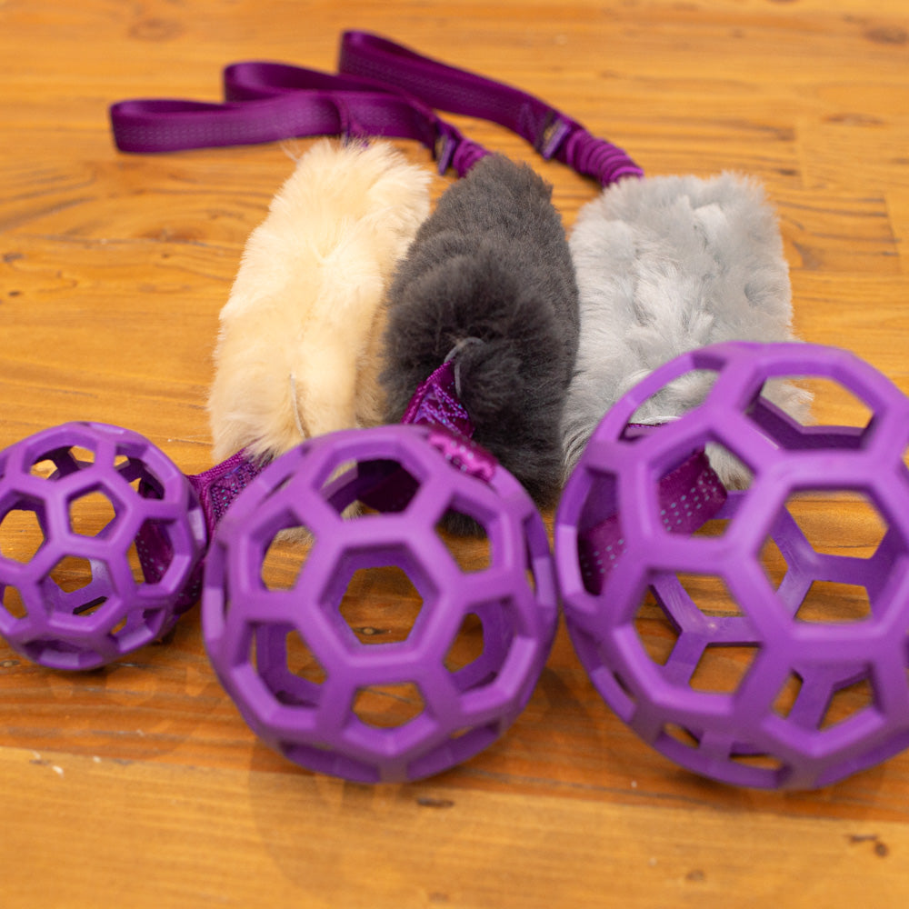 Wild-Tug Sheepskin Bungee and Holee Ball Tug Toy