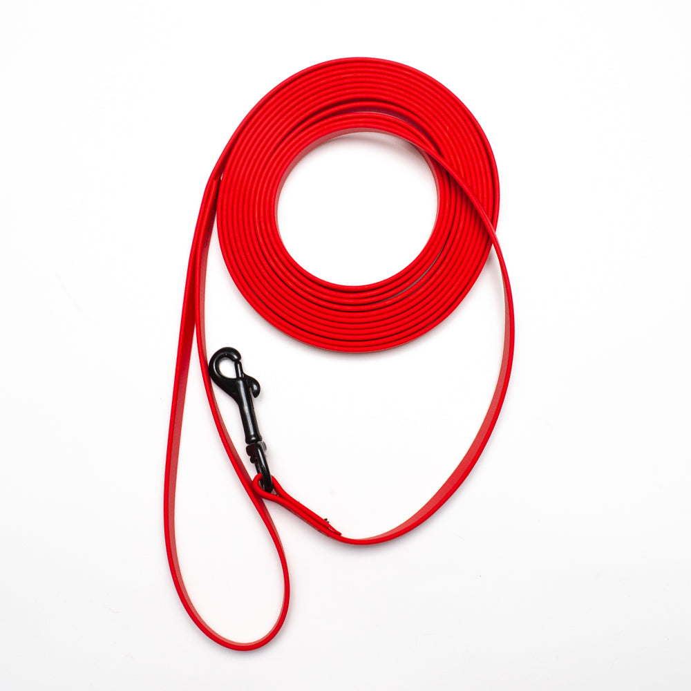 Biothane Puppy Light Long Line 5m