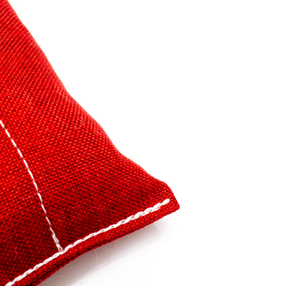 Wild-Tug Christmas Canvas Santa Sack Tug Toy with Squeakers