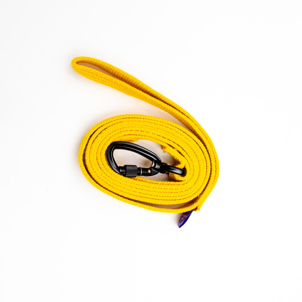 Cotton Webbing Leash 6ft (180cm/1.8m) with Locking Carabiner