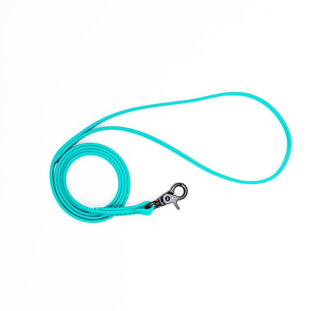 Biothane Microlight Leash 4ft(120cm)