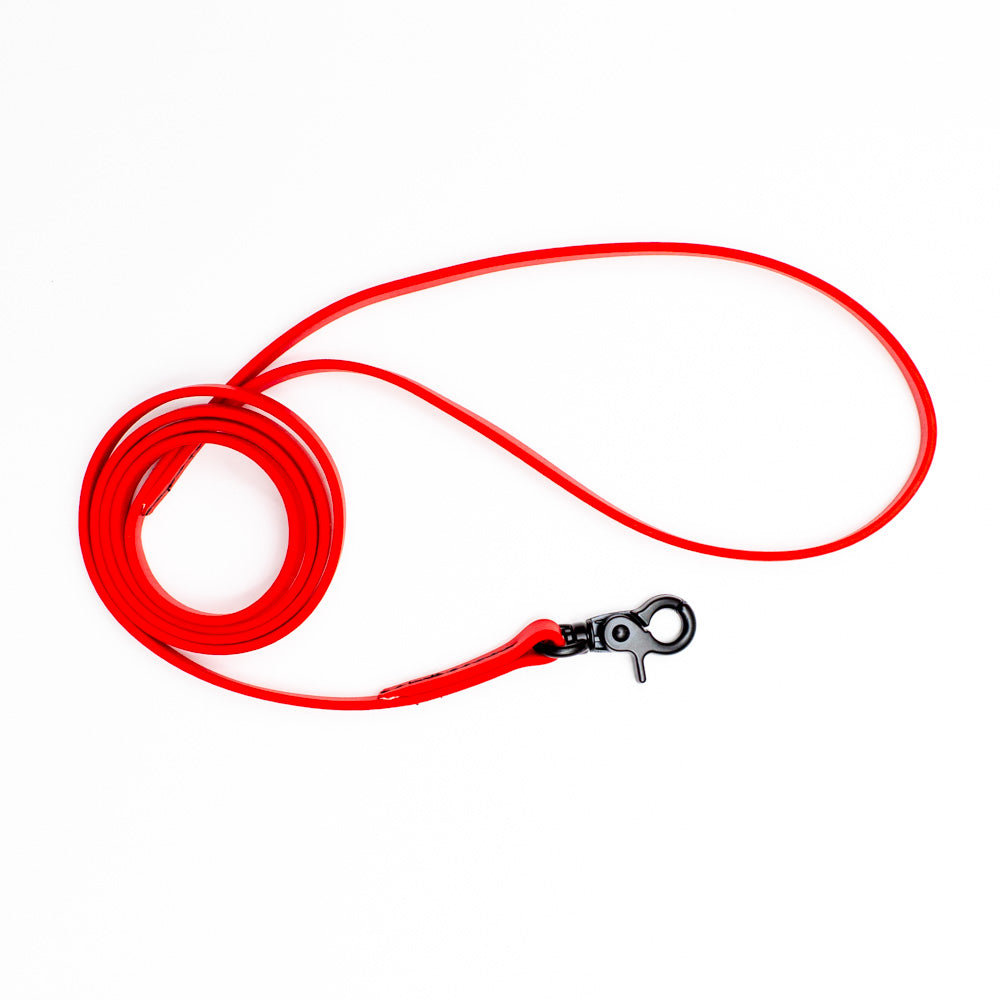 Biothane Microlight Leash 4ft(120cm)