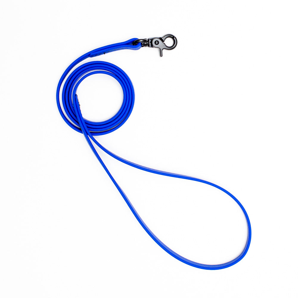 Biothane Microlight Leash 4ft(120cm)