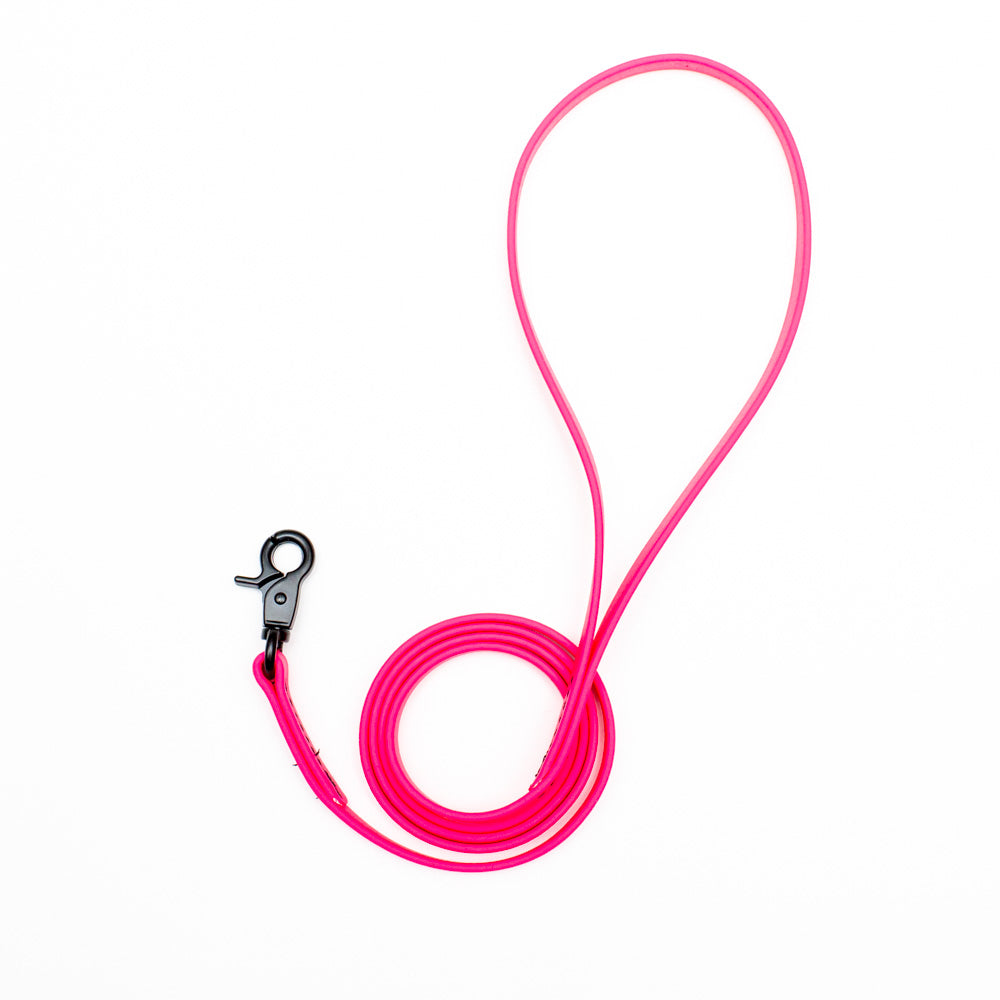 Biothane Microlight Leash 4ft(120cm)