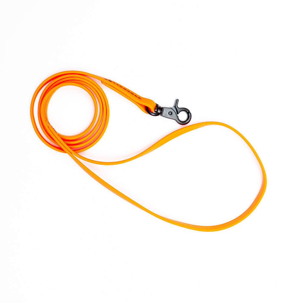 Biothane Microlight Leash 4ft(120cm)