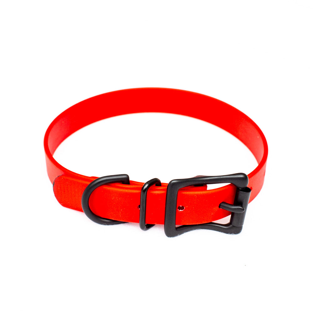 Biothane Collar 19mm(3/4" Wide)