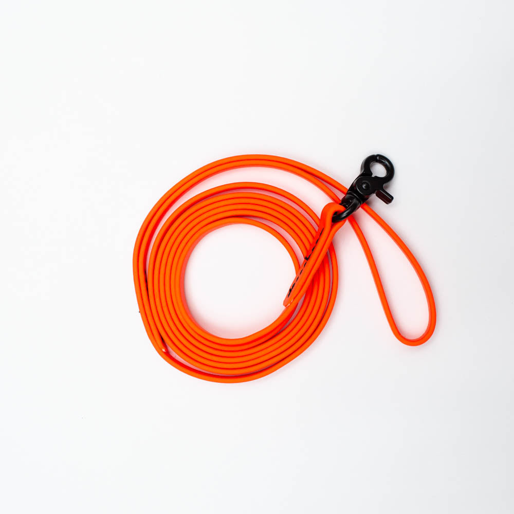 Biothane Microlight Leash 6ft(180cm/1.8m/9mm Wide)