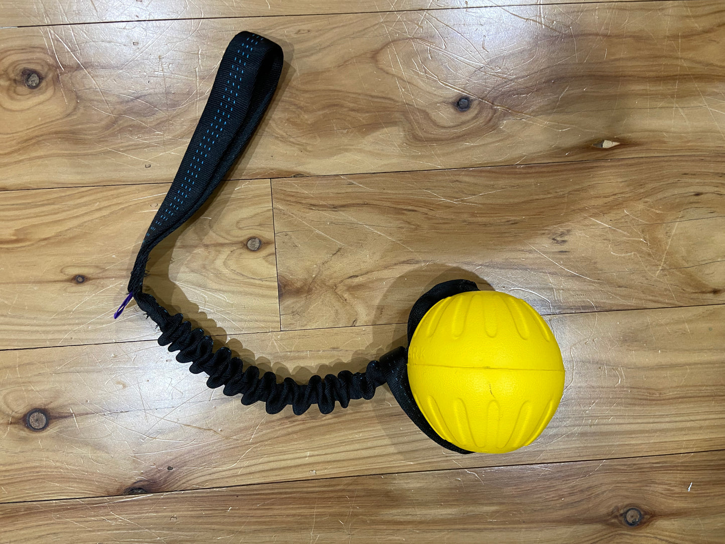 Wildhunde Bungee Handle