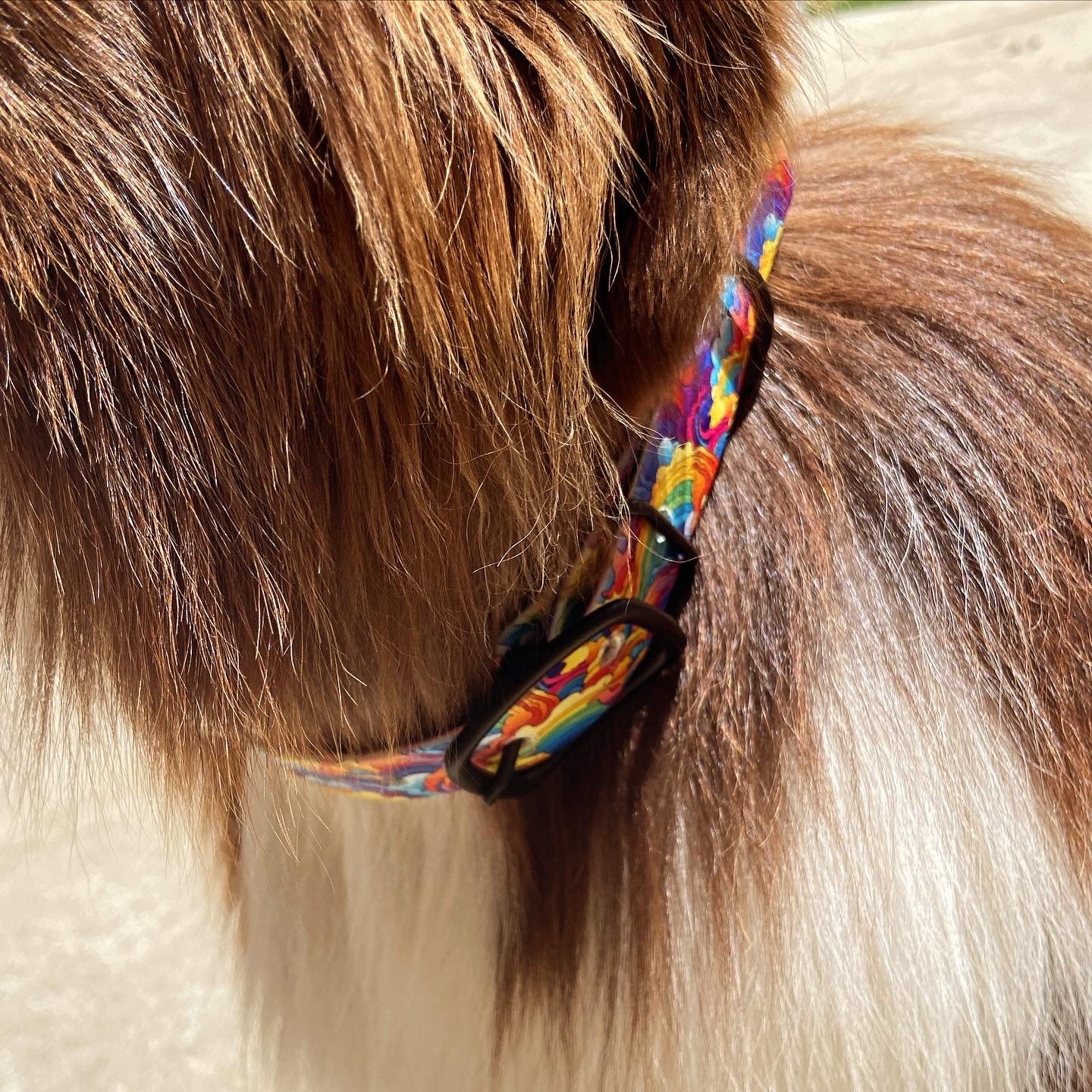 Custom UV Printed BioThane Collar- Made To Order