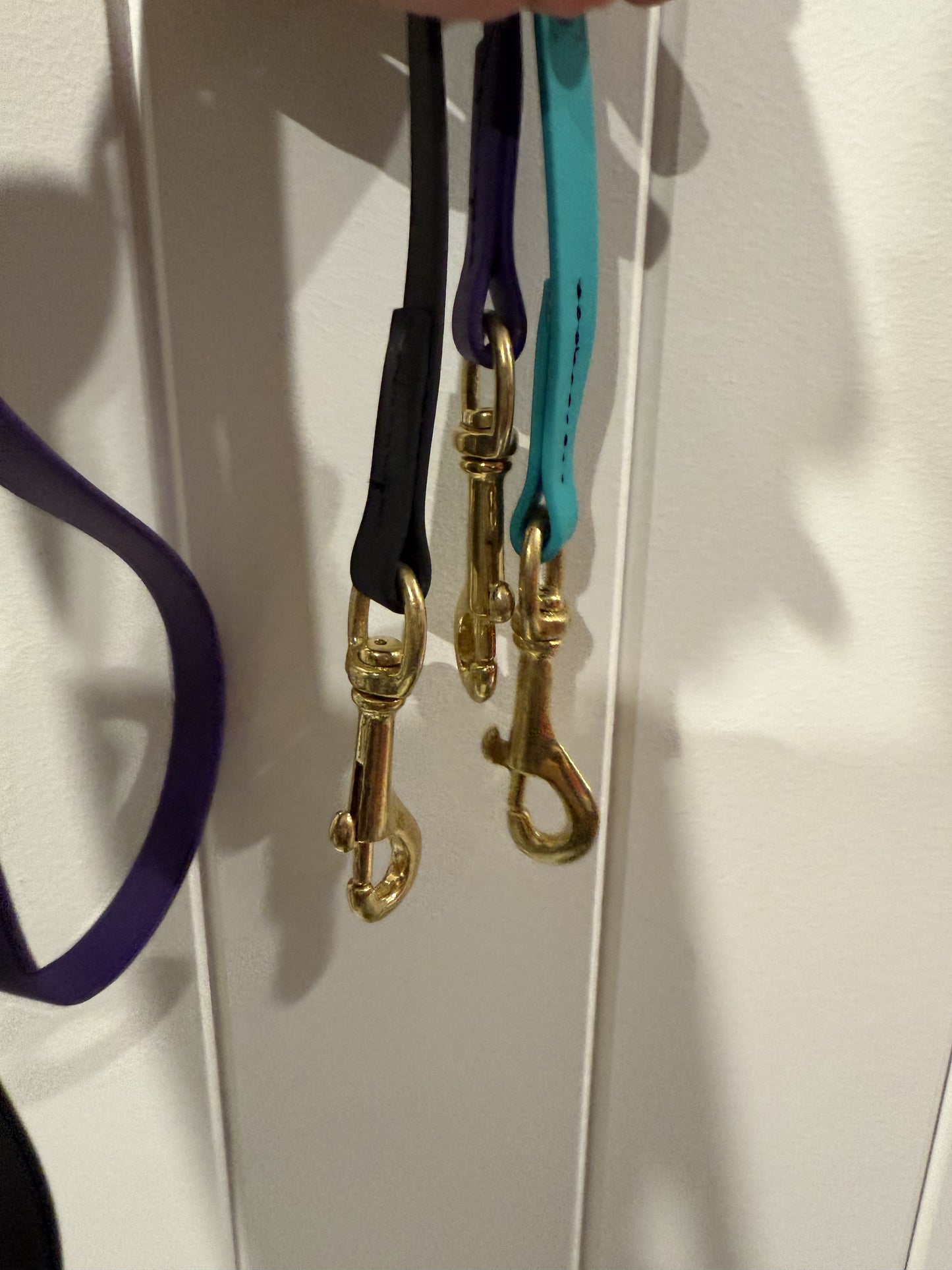 Biothane Light Weight Leash with Gold Brass Snap - CLEARANCE