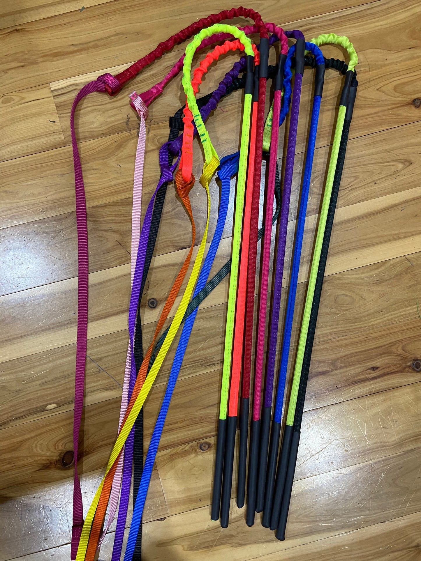 Wildhunde Whirlwind Standard Flirt Pole