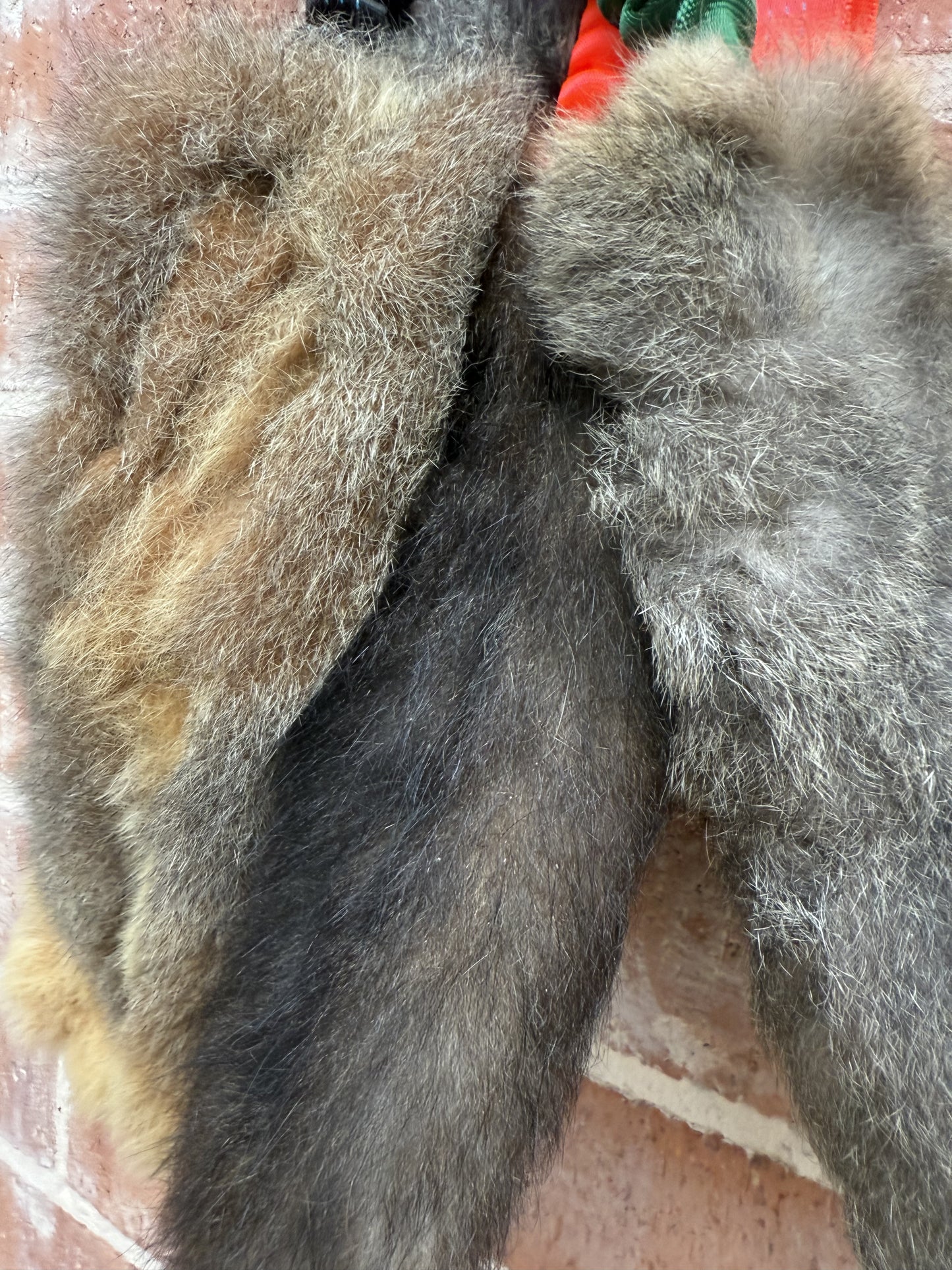 Wild-Tug Possum Bungee Tug Toy | Durable Natural Fur Dog Training Toy