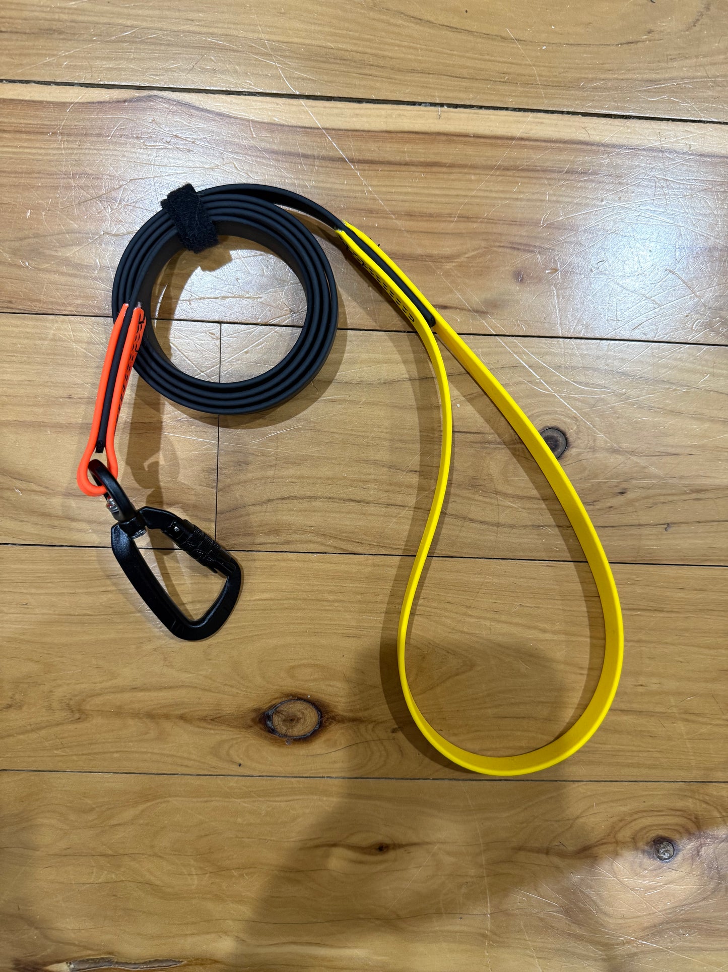 Biothane Special Edition 4ft 3 Tone Lead with Carabiner