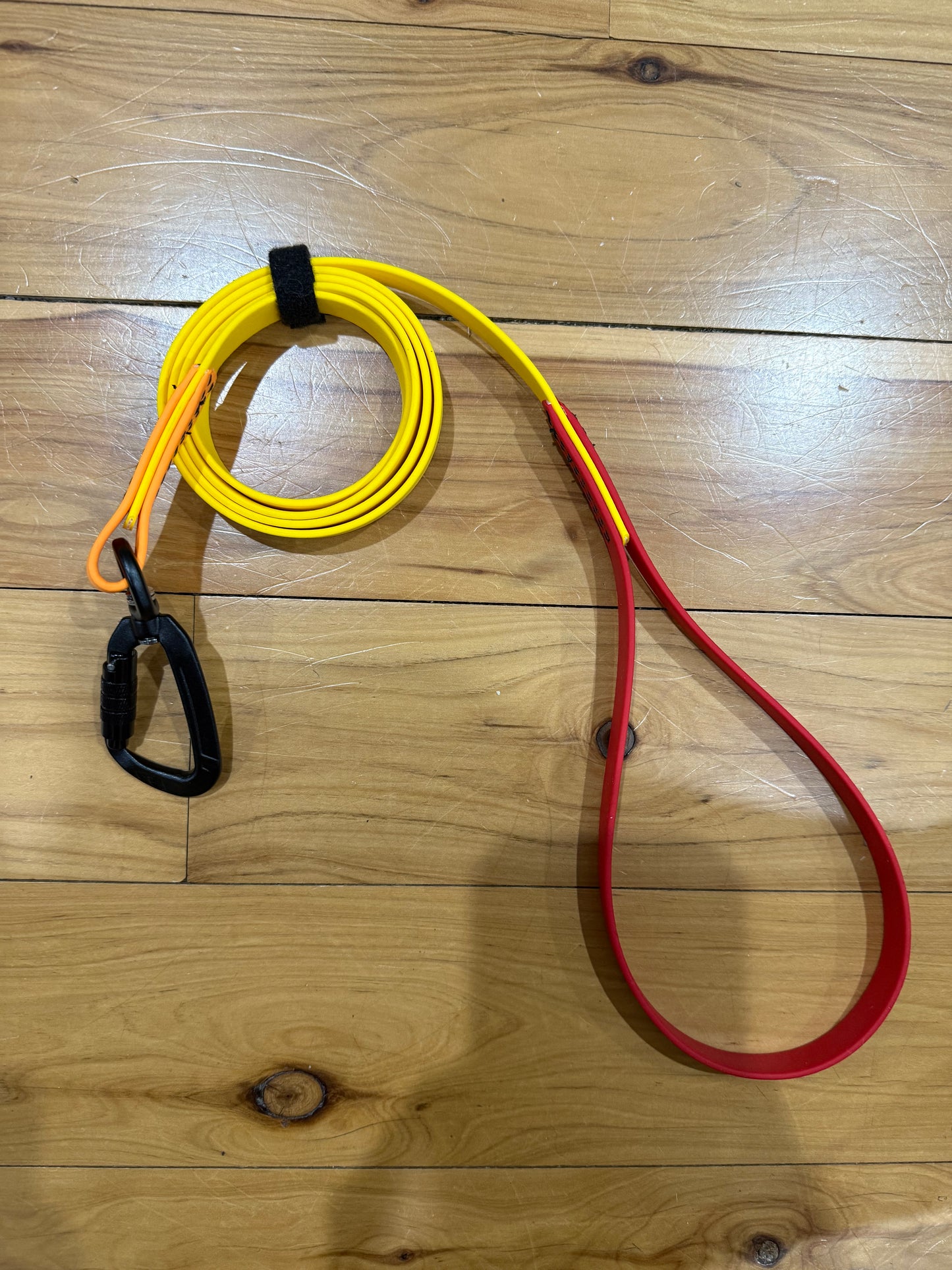 Biothane Special Edition 4ft 3 Tone Lead with Carabiner