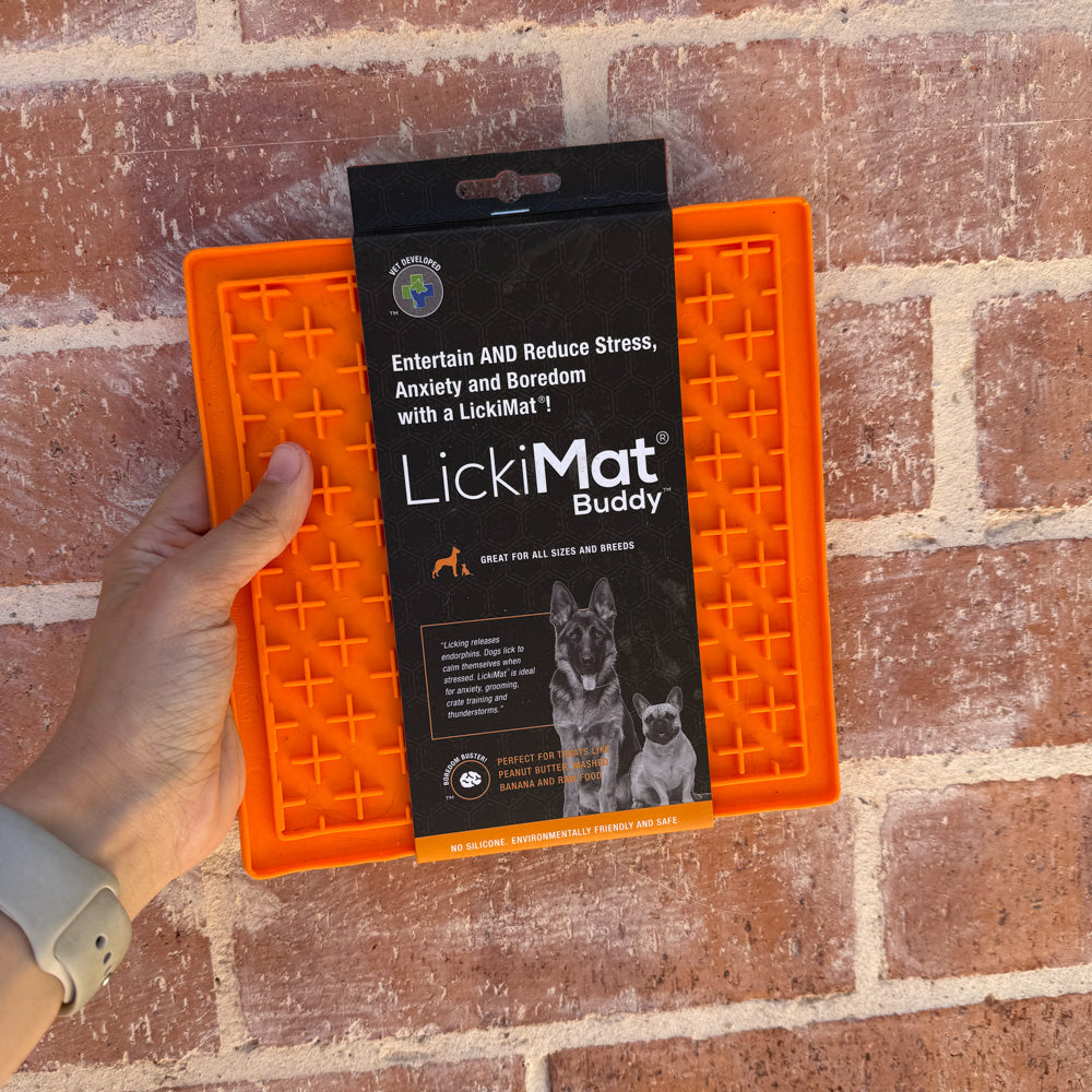 Mixed Assortment of Clearance Enrichment Toys