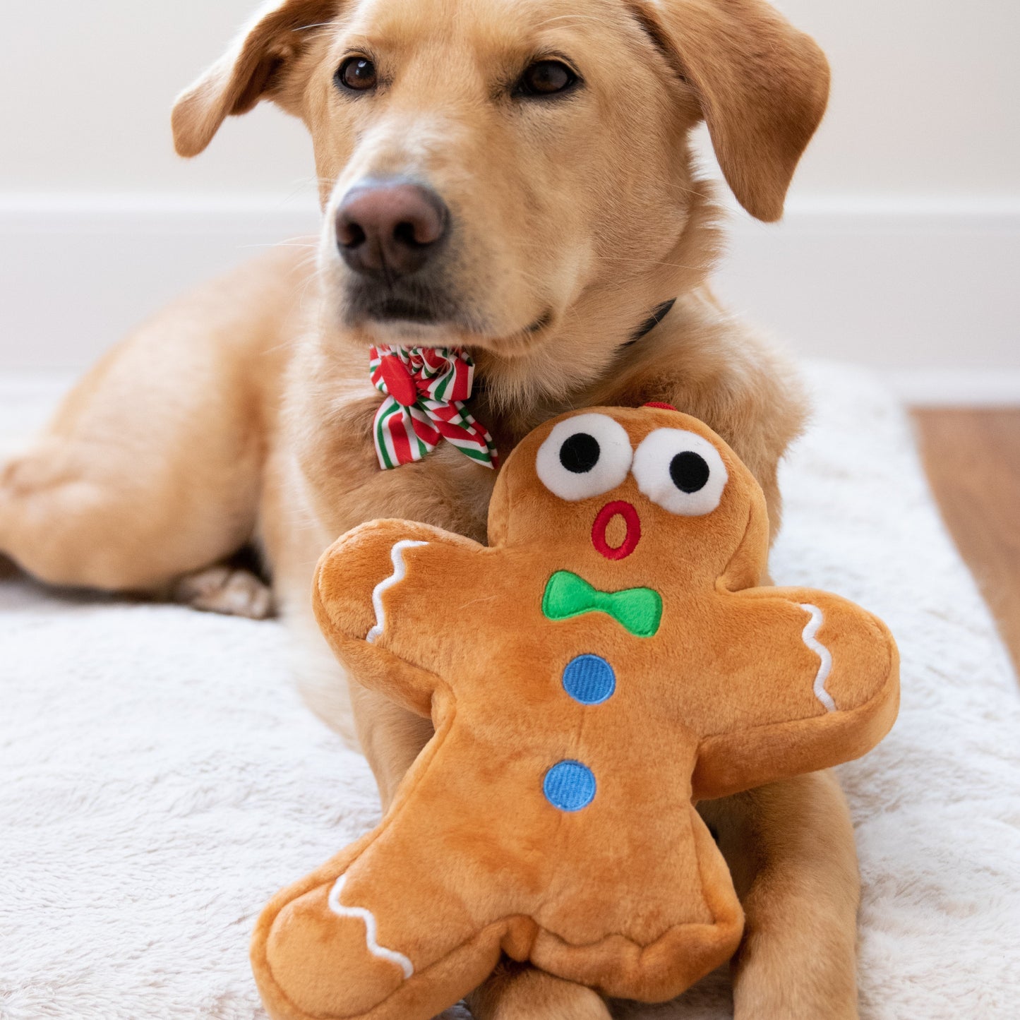 Huxley and Kent Christmas Gingerbread Snapped