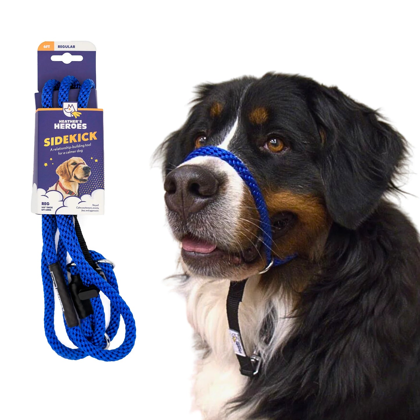 Wildhunde No-Pull K9 Lifeline Transitional Leash