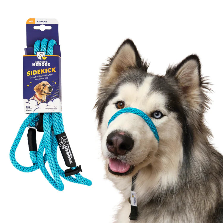 Wildhunde No-Pull K9 Lifeline Transitional Leash