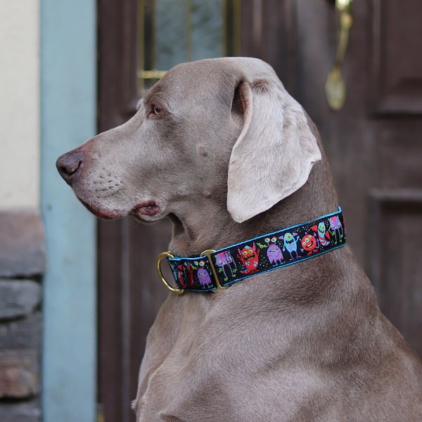 2 Hounds 2 Inch Wide Fabric Martingale Collar