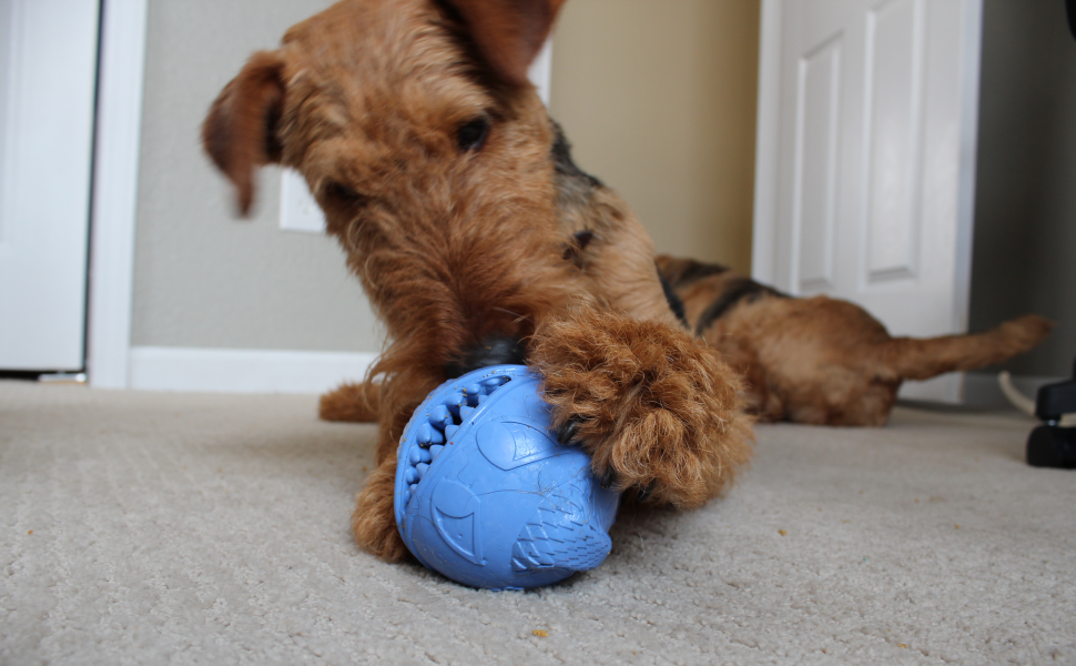 Jolly Pets Monster Ball and Treat Dispenser
