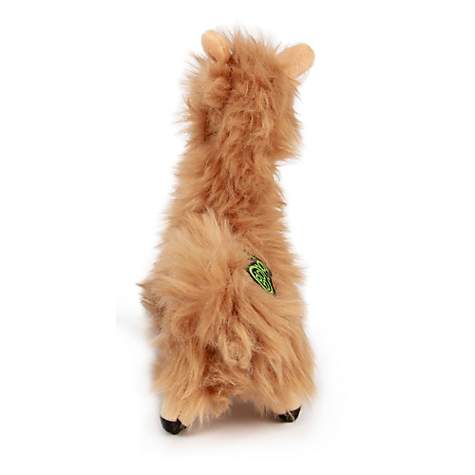 goDog Llama