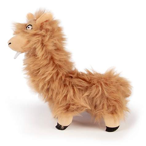 goDog Llama