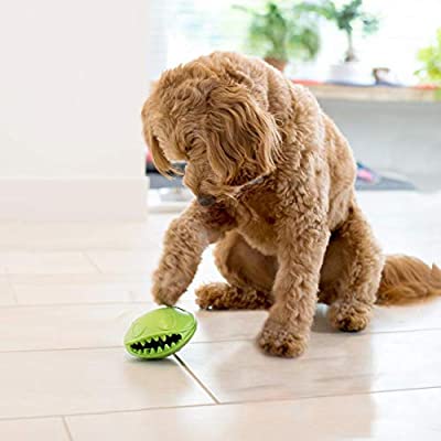 Jolly Pets Monster Mouth and Treat Dispenser