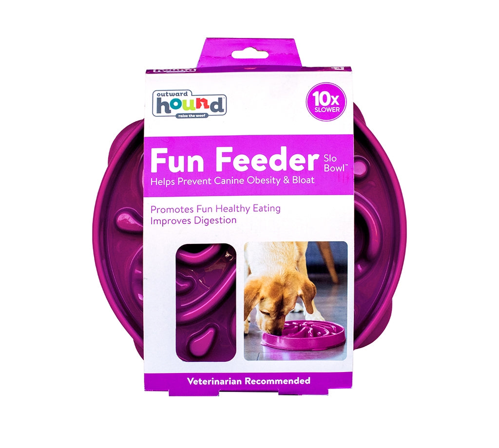 Outward Hound Fun Feeder Slo-Bowl - Purple Flower