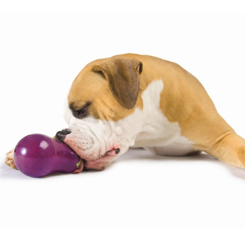 Orbee-Tuff Foodies Eggplant