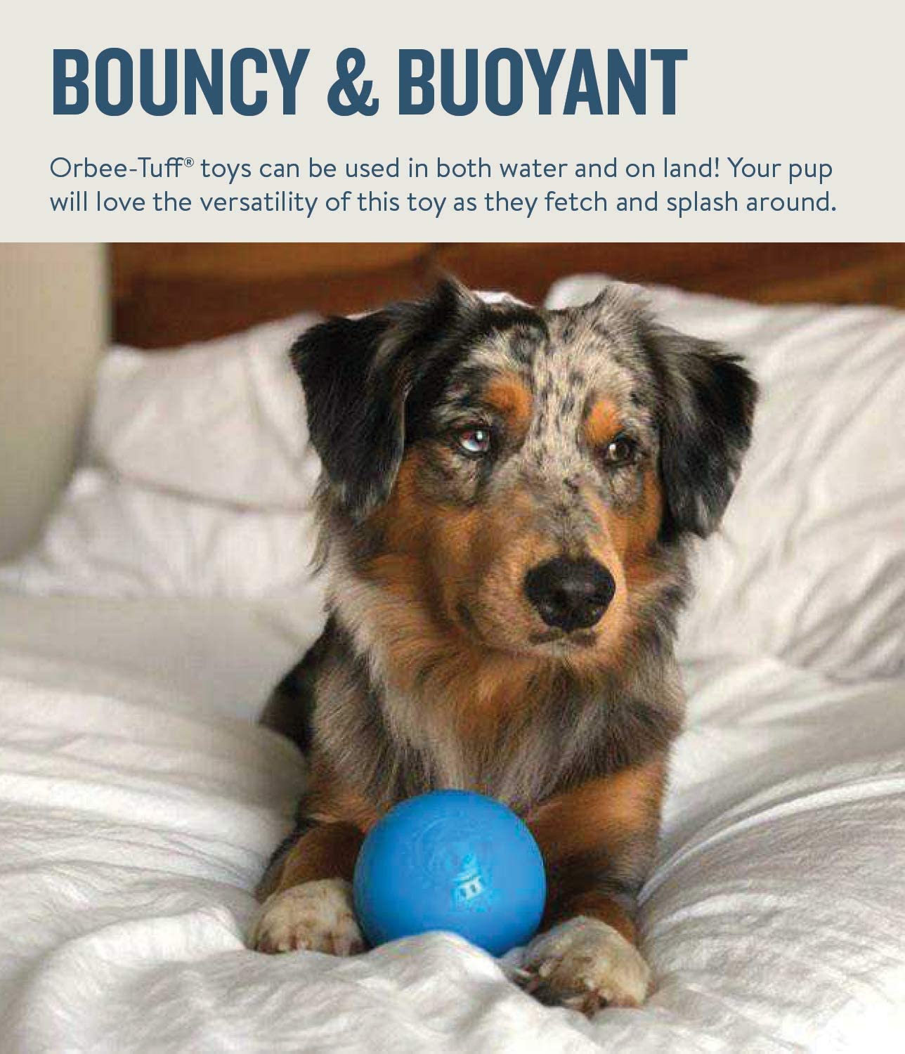Orbee-Tuff Squeak Ball