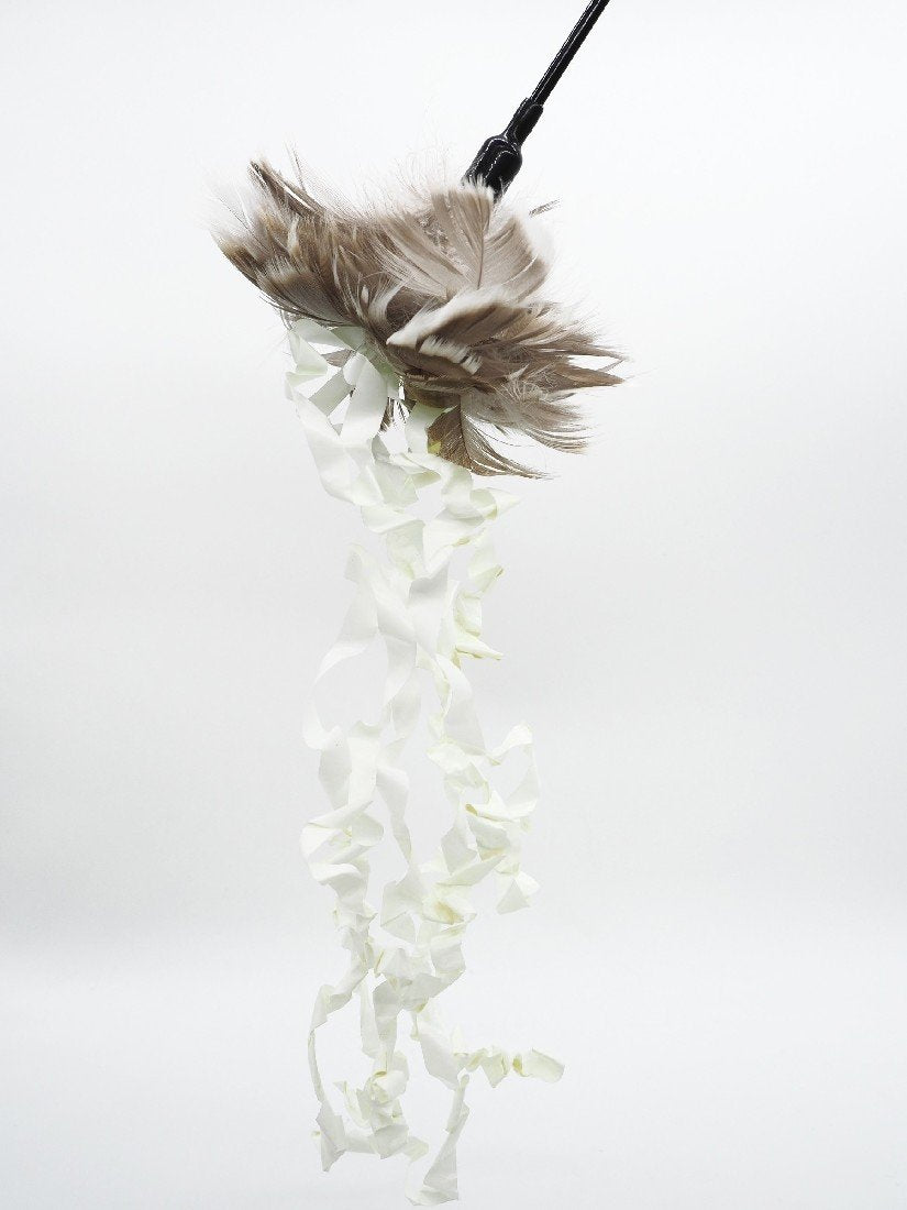 The PURRfect Crazy Krinkle Cat Teaser Toy