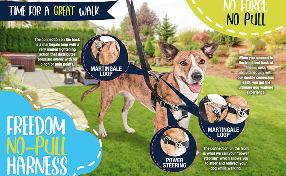 2 Hounds Freedom No-Pull Dog Harness