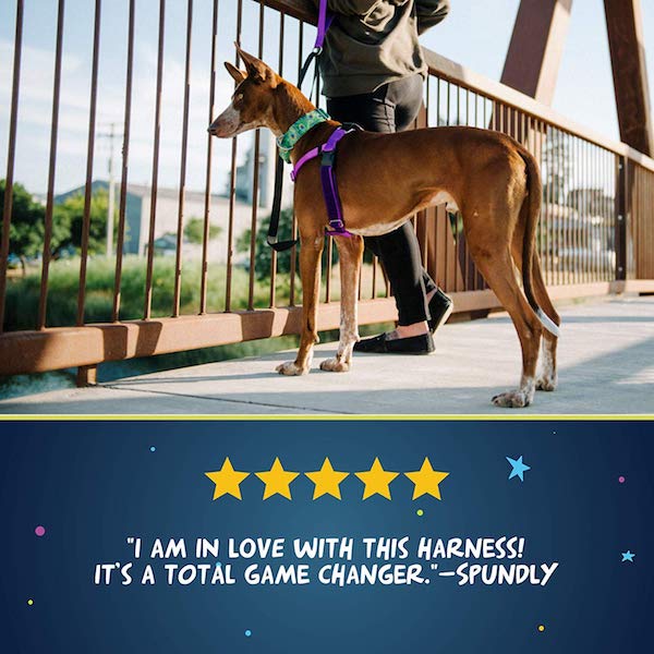 2 Hounds Freedom No-Pull Dog Harness