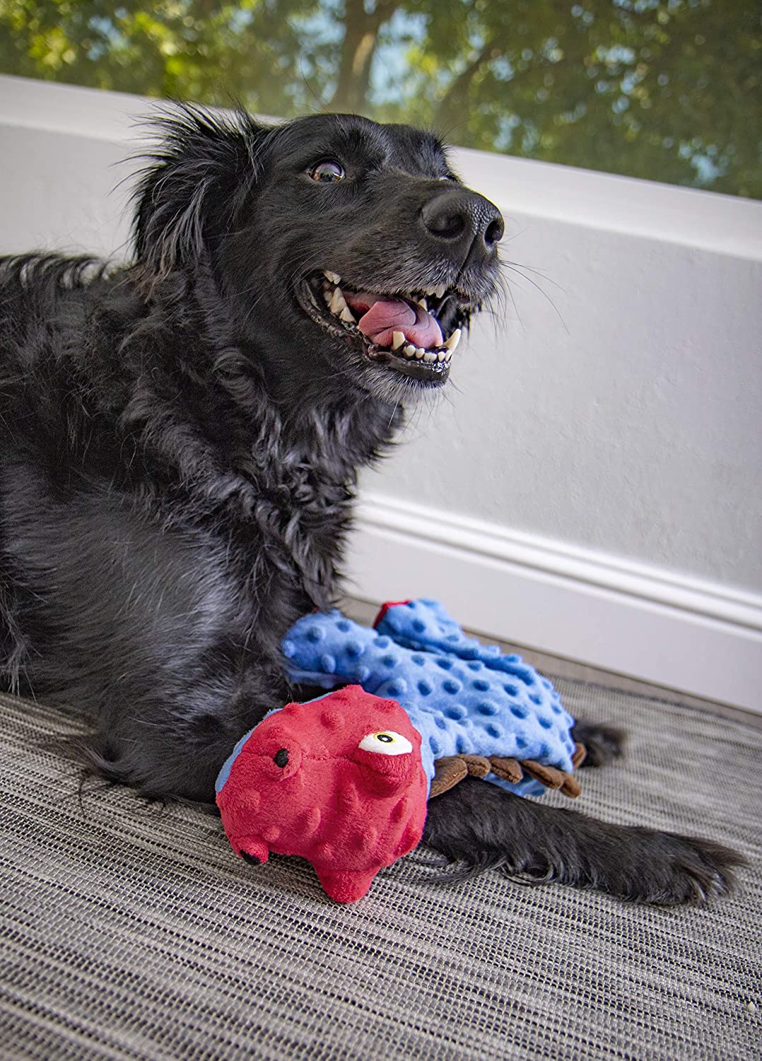 goDog Stegosaurus