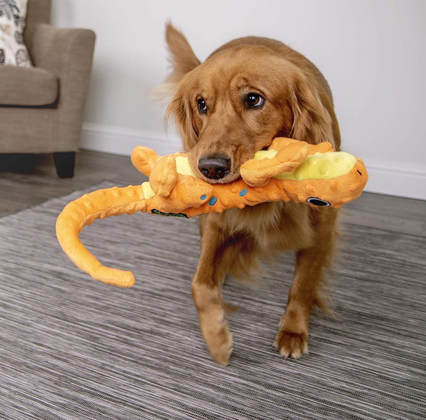 goDog Salamander