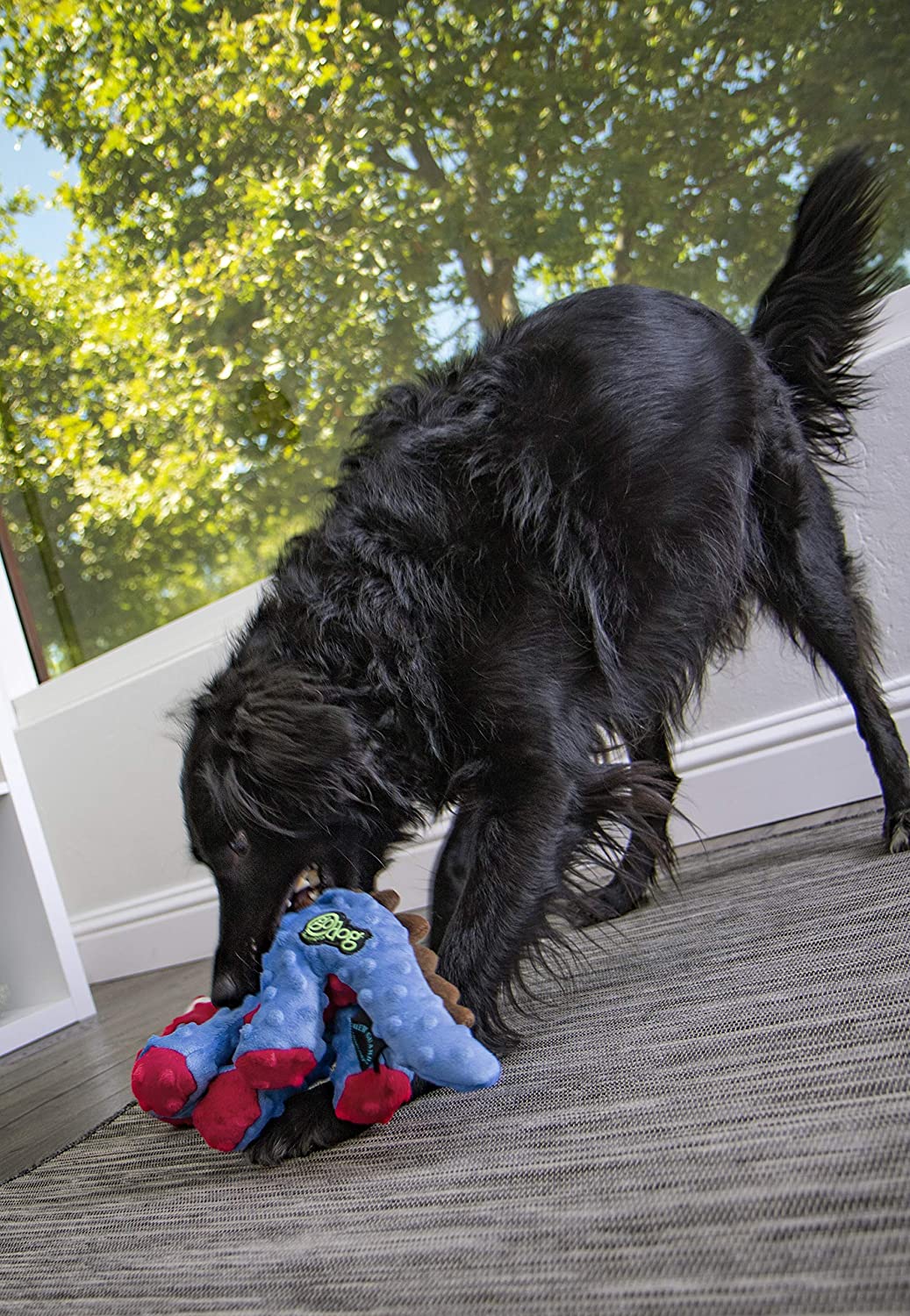 goDog Stegosaurus