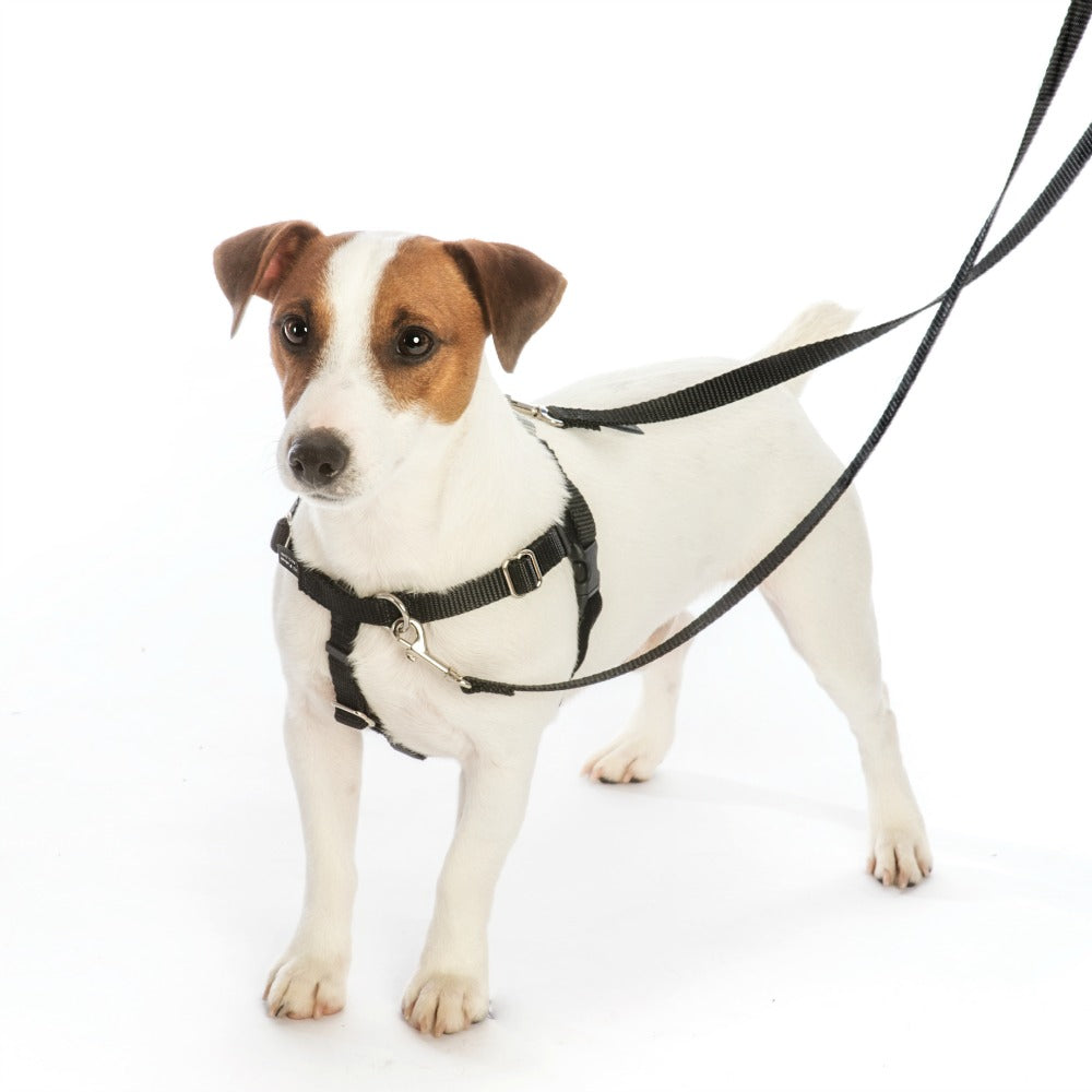 2 Hounds Freedom No-Pull Dog Harness